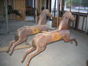 Two Primitive Horses